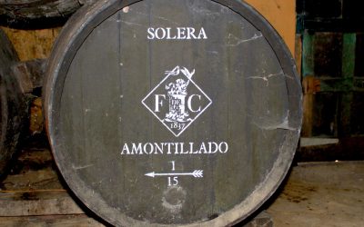 Having a Fino time in Jerez – November 22 2008