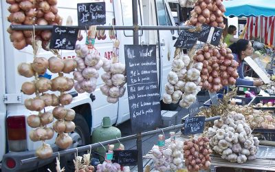 Shining light on a humble bulb – April 4 2009