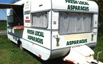 Asparagus