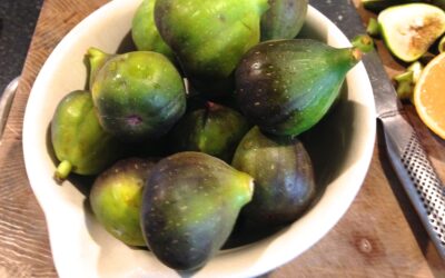 Fig Conserve