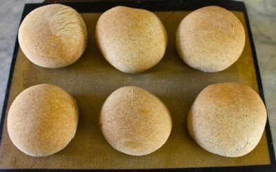 Simple Bread Rolls